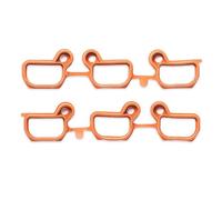 Reinz 11-33074-01 Kit guarnizioni, collettore aspirazione