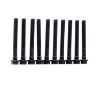 Set bulloni testa cilindro VICTOR REINZ 14-32028-02