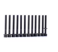 REINZ 14-32046-02 Kit bulloni testata