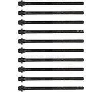Reinz Set di bulloni per testa del cilindro 14-32075-01