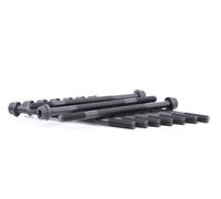 Set di bulloni per testa del cilindro REINZ 14-32079-01