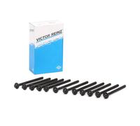 Victor Reinz Kit bulloni testata 143213202