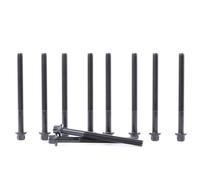 REINZ 14-32139-04 Kit bulloni testata