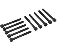 REINZ 14-32184-01 Kit bulloni testata