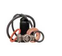REINZ Kit riparazione, Gruppo pompa-iniettori 15-38642-03 AUDI,VW,SKODA,A3 Sportback (8PA),A4 Avant (8ED, B7),A4 Avant (8E5, B6),A3 Hatchback (8P1)