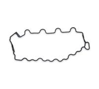 REINZ 71-35582-00 Guarnizione, Copritestata