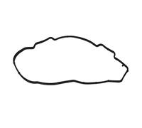 Reinz 71-36567-00 Guarnizione, copertura testa a clindro