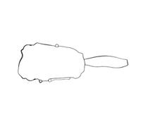 Reinz 71 - 40674 - 00 - Guarnizione, Coperchio testa-cilindri