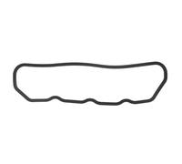 Reinz 71-50919-10 Guarnizione, copertura testa a clindro