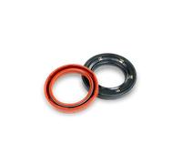 REINZ 81-10676-00 Paraolio albero a camme