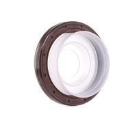 REINZ Paraolio Albero Motore FIAT,SAAB,OPEL 81-33489-10 71739386,71739681,71779381 Paraolio Volano,Paraolio Albero a Gomito,Paraolio, Albero a gomito