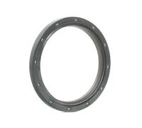 Victor Reinz 81-38532-00 Paraolio Albero Motore per Opel BMW Mini Ford DS