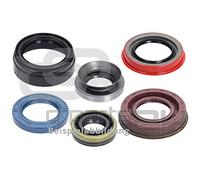REINZ Anello di tenuta 40-76149-00