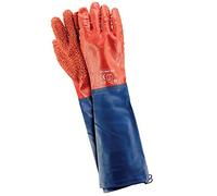 Reis Rpcv60-Fish - Guanti di protezione, 10 (60 cm), 6 pezzi, colore rosso/blu