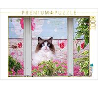 Reiß-Seibert Marion CALVENDO Puzzle - Puzzle da 1000 pezzi "Samtpfoten Momente", stile shabby chic & vintage, dimensioni: 64 x 48 cm