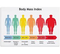 REIUAFWYGV BMI Classification Poster Underweight Normal Overweight Obese Guide Wall Decor(Unframed,16x24inch(40x60cm))