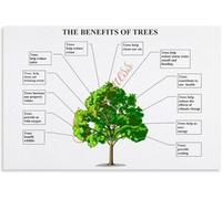 REIUAFWYGV Tree Benefits and Green Infrastructure Guide Poster | Discover the ecological and community advantages of urban greenery(Framed,12x18inch(30x45cm))
