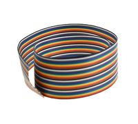 RELAND SUN Cavo a nastro piatto da 1 m, 10P/12P/14P/16P/20P/26P/34P/40P/50P, passo 1,27 mm, colore arcobaleno, per connettore FC (14P)