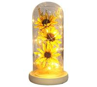 Relax love - Girasole sotto cupola di vetro con luci a LED, per regali romantici e decorazioni per la casa