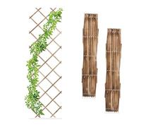 Grigliato Piante Rampicanti Set 3 Tralicci Legno Fiammato Allungabile 180x60cm