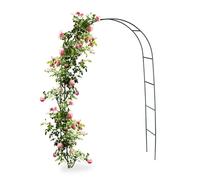 Relaxdays Arco per rose 2x, supporto in metallo per rampicanti 240 x 140 x 38 cm, Verde