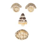 Relaxdays Scultura da Giardino, Set 4 Accessori per Viso Alberi, Decorazione Tronco, Poliresina Resistente, Multicolore