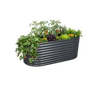 Aiuola rialzata ortaggi fiori erbe piante giardino urbano vaso pomodori
