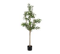 Relaxdays Albero di ulivo finto per interni