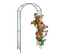 Arco per rampicanti Graticcio da giardino 6,4 kg Verde Arco per rose