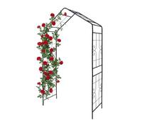 Relaxdays Arco per rose a punta