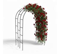 Relaxdays Arco per Rose e Piante rampicanti in Ferro XXL, 240x140x110 cm, Nero