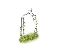 Arco per rose con punte in metallo 1,9 kg Verde scuro Arco per piante rampicanti