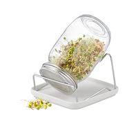 Relaxdays Barattolo per Germogli, Vasetto per la Germinazione di Semi, con Supporto e Vaschetta, 850 ml, Trasparente, Acciaio