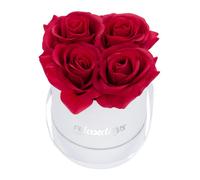 relaxdays Rosenbox Bouquet di Rose Rotondo, 4 Rose, Bianco, Resistente 10 Anni, Idea Regalo, Box Decorativo, rosse