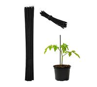Relaxdays Canne di Bambù 30 cm, Set 50 Bastoni 5 mm Ø, Nere | Paletto Sostegno per Piante Rampicanti o Decorazione