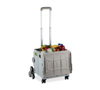 Carrellino Spesa Cestino Trolley Ruote Carrello Portaspesa Pieghevole max. 50 kg