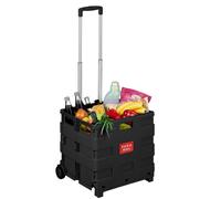 Relaxdays Carrello spesa con manico telescopico