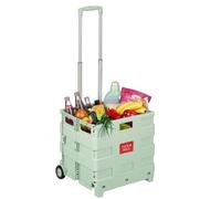 Relaxdays Carrello spesa con manico telescopico