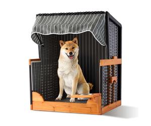 Relaxdays Cestino cane legno & rattan con ciotola