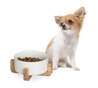 Relaxdays Ciotola Rialzata per Cani, Alzatina in bambù con Scodella in Ceramica Cibo o Acqua, 850 ml, 9x20x20 cm Bianco