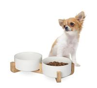 Relaxdays Ciotole Rialzate per Cani, Alzatina in bambù, Scodelle in Ceramica, Cibo o Acqua, 850 ml, 9x32x17 cm, Bianco