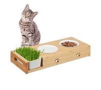 Relaxdays Ciotole Rialzate per Gatti, Alzata 2 Ciotoline 250 ml in Ceramica, Scodella Erba Gatta, bambù, Naturale Bianco, 6,5 x 44 x 18 cm