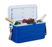 Relaxdays Frigo Portatile 20L, da Viaggio, Tracolla da Trasporto e Manico Senza