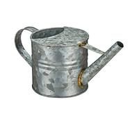relaxdays Gießkanne Innaffiatoio, 1,3 Litri, Annaffiatoio Piccolo per Piante, Decorazione Home, Vaso in Metallo, Vintage, Argento, Ferro, 1 pz
