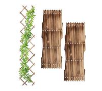 Relaxdays 180x30 cm Grigliato in Legno per Rampicanti Allungabile, Set 3 Tralicci Piante da Giardino e Balcone, Fiammato