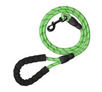 Relaxdays Guinzaglio per Cani di Grande e Piccola Taglia, 1,5 m Fino a 50 kg, Moschettone Riflettente Impugnatura, Verde, Nylon
