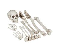 Relaxdays Ossa Finte, 12 Decorazioni per Halloween & Carnevale, Interno & Esterno, Mani, Piedi, Teschio, Horror, XXL, Set da 1 pz