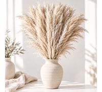 Relaxdays Pampas 100 cm, set da 10 pz.