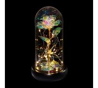 Relaxdays Rosa eterna in campana di vetro con luci