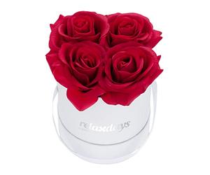 relaxdays Rosenbox Bouquet di Rose Rotondo, 4 Rose, Bianco, Resistente 10 Anni, Idea Regalo, Box Decorativo, rosse